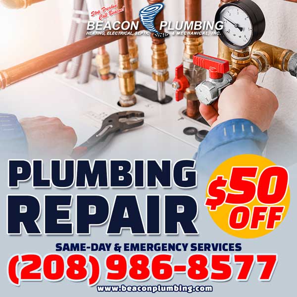 Best Boise plumbers in ID near 83709